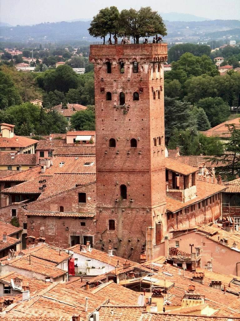 Guinigi Tower rising over the rooftops of Lucca