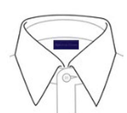 Pinpoint collar illustration