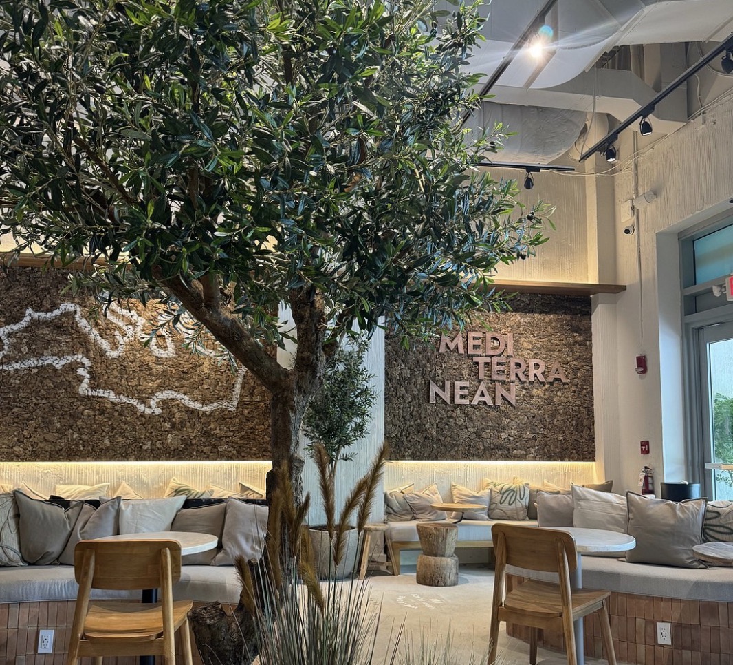 NU Real Food Mediterranean interior with olive tree and lounge seating